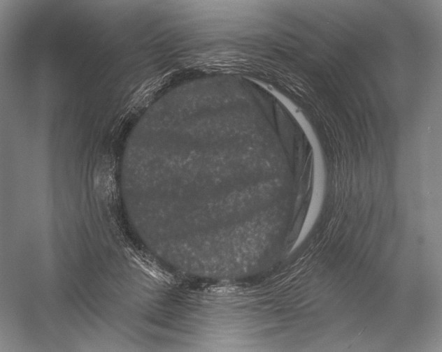 X0000055970408200509091449