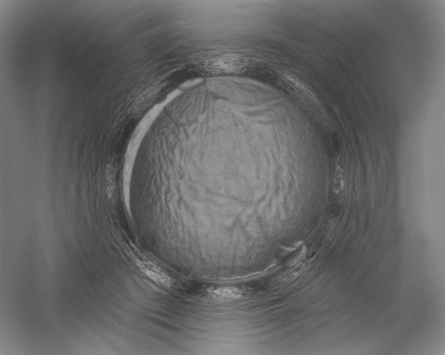 X0000055970409200509091449