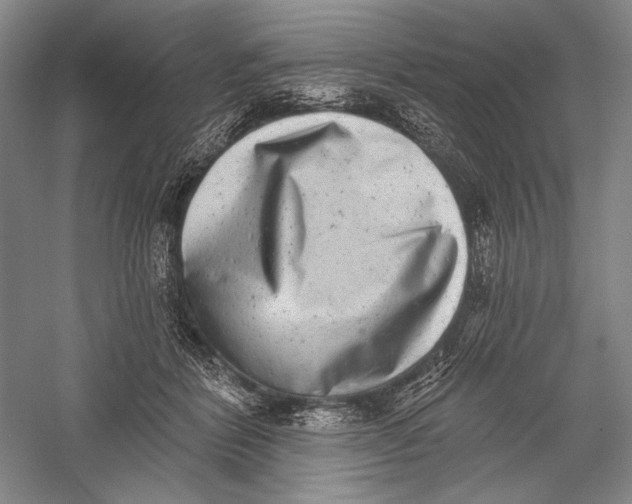 X0000055970412200509091449