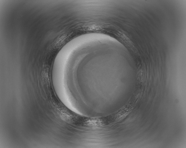 X0000055970415200509091449