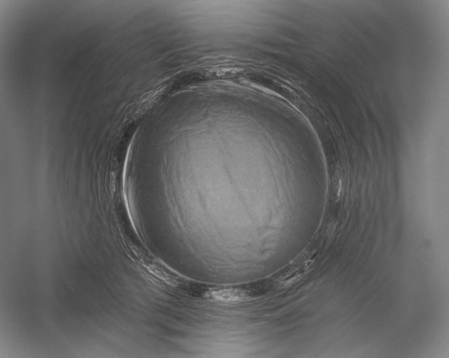 X0000055970417200509091449