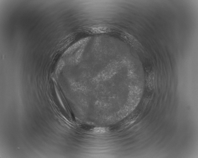X0000055970418200509091449