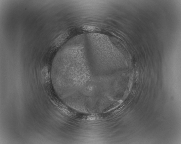 X0000055970420200509091449