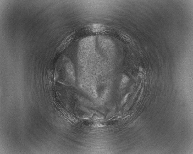 X0000055970421200509091449