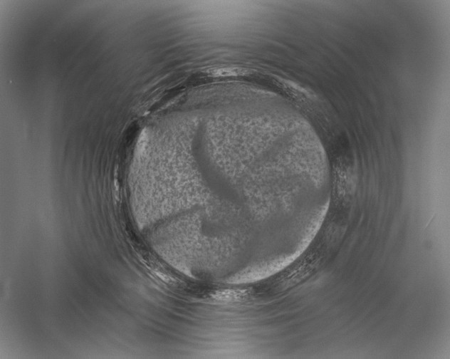 X0000055970422200509091449