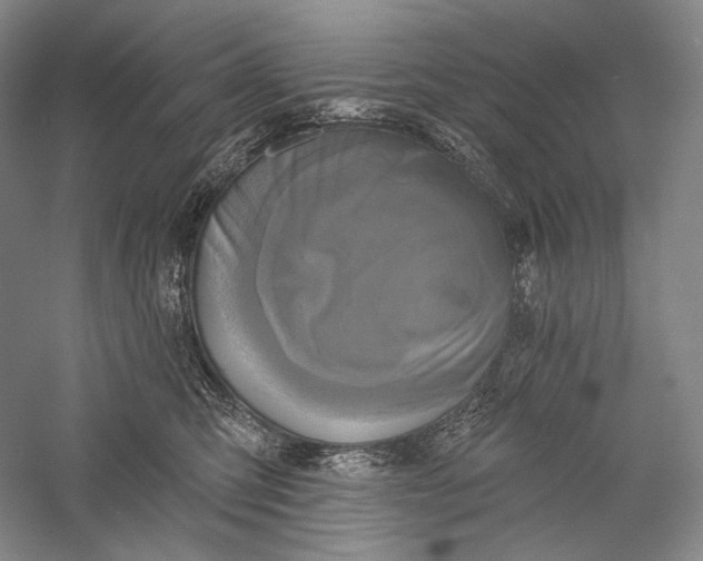 X0000055970423200509091449