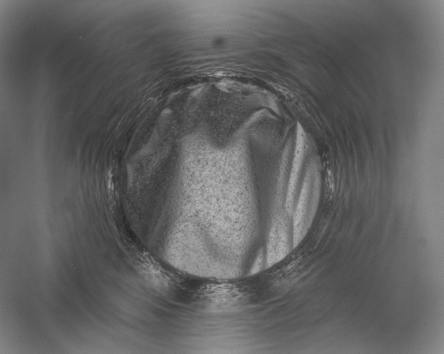 X0000055970424200509091449