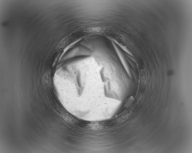 X0000055970425200509091449