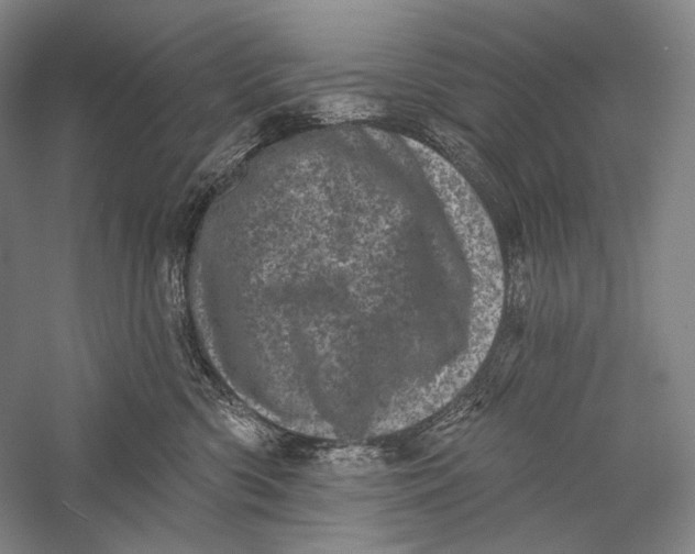 X0000055970426200509091449