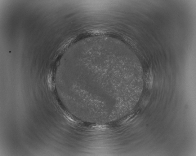 X0000055970428200509091449