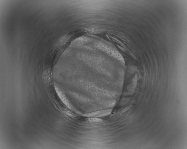X0000055970429200509091449