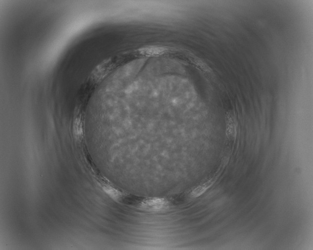 X0000055970431200509091449