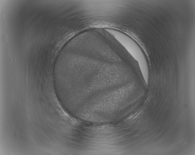 X0000055970433200509091448