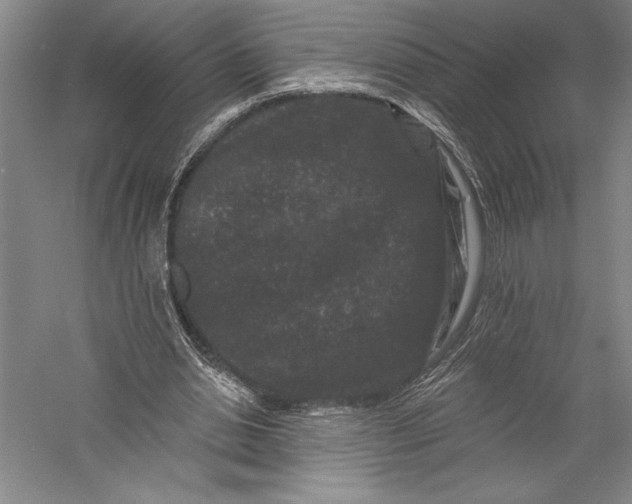 X0000055970438200509091448