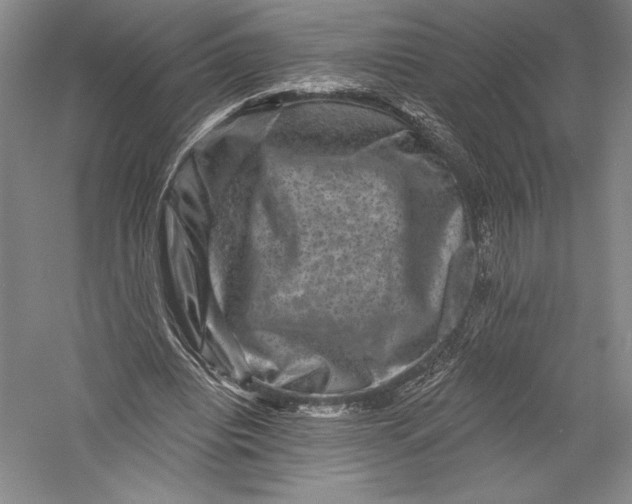 X0000055970440200509091448