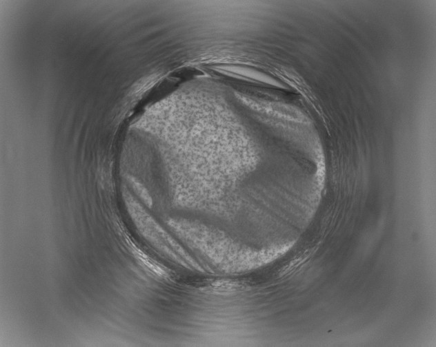 X0000055970441200509091448