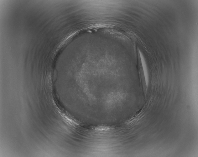 X0000055970444200509091448
