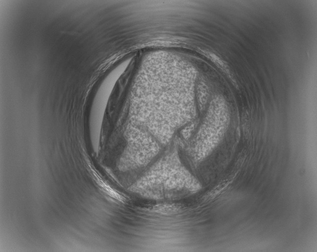 X0000055970445200509091448