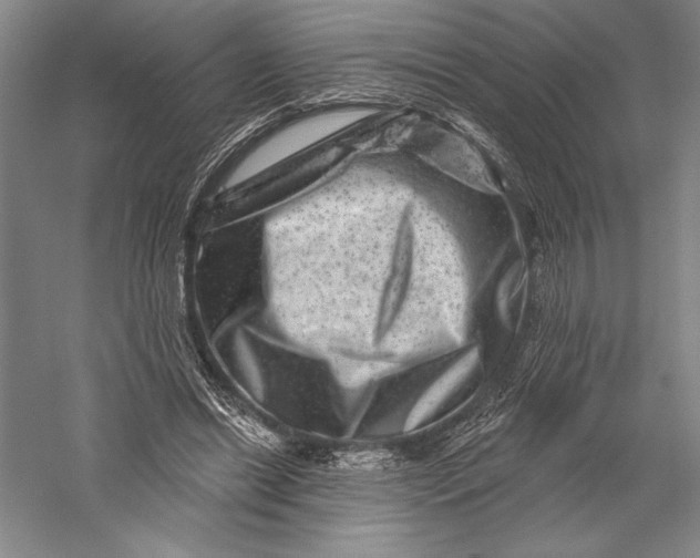 X0000055970446200509091448