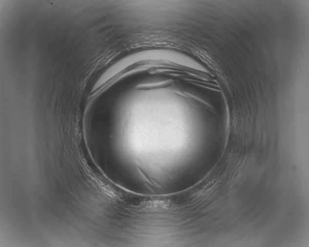 X0000055970449200509091448