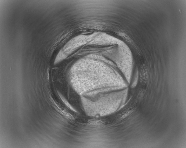 X0000055970454200509091448