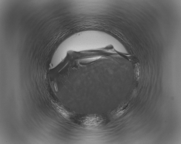X0000055970458200509091448