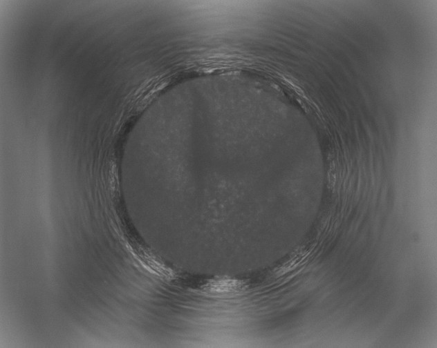 X0000055970459200509091448