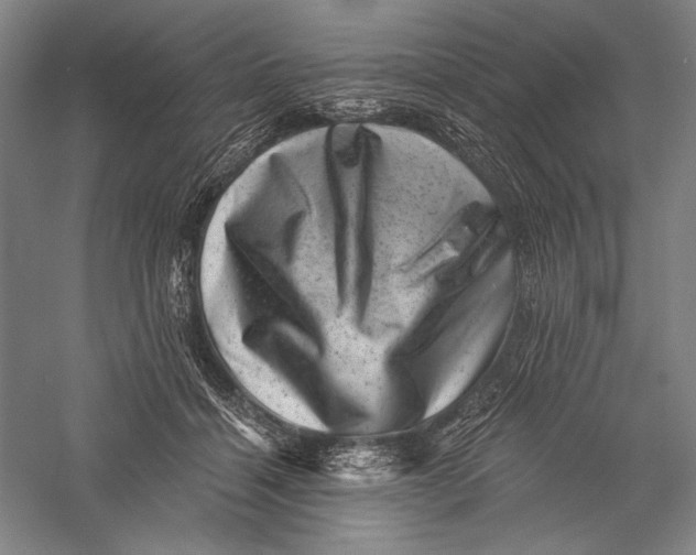 X0000055970460200509091448