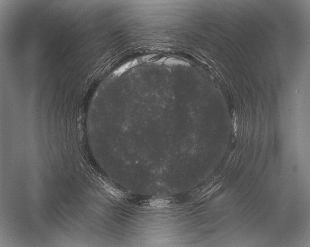 X0000055970462200509091448