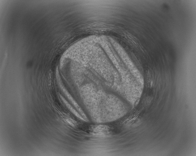 X0000055970463200509091448