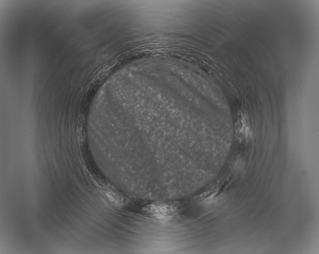 X0000055970464200509091448