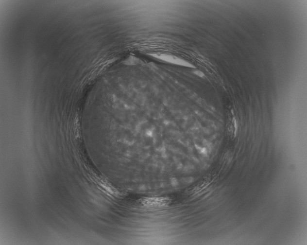 X0000055970465200509091448
