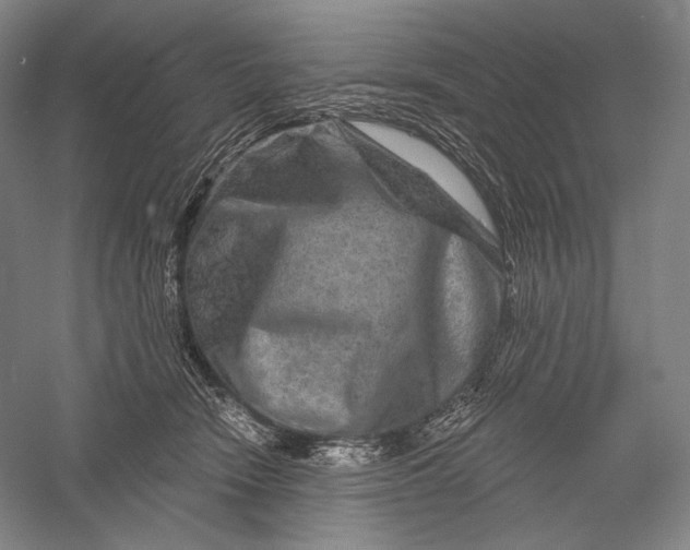 X0000055970466200509091448