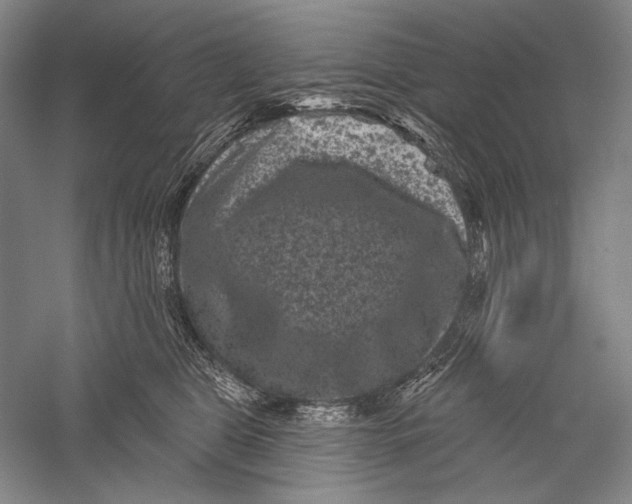 X0000055970469200509091449