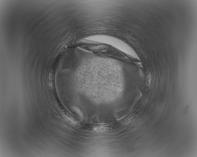 X0000055970470200509091449