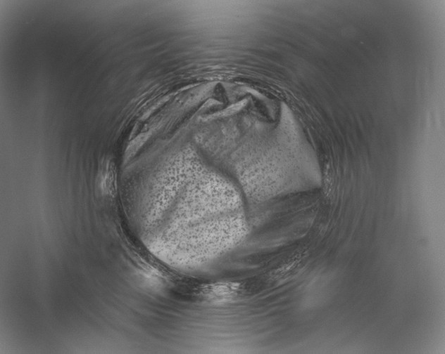X0000055970474200509091449