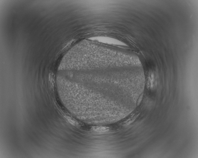 X0000055970476200509091449