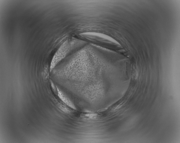 X0000055970478200509091449