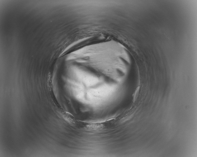 X0000055970480200509091449