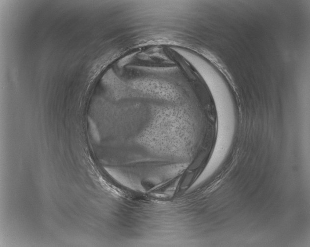 X0000055970481200509091448