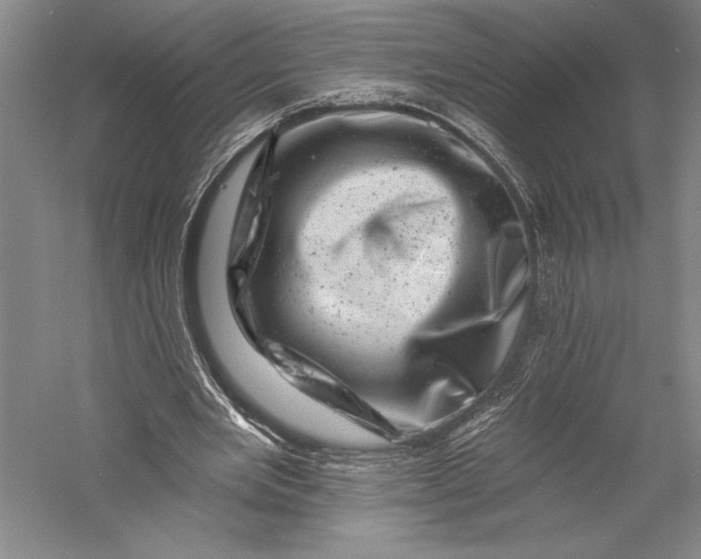 X0000055970485200509091448