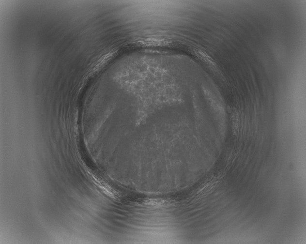 X0000055970490200509091448