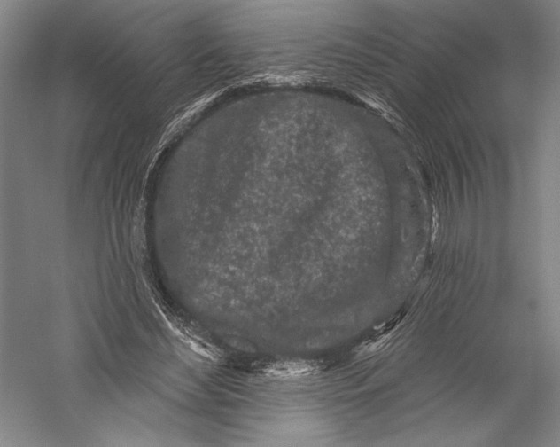 X0000055970492200509091448