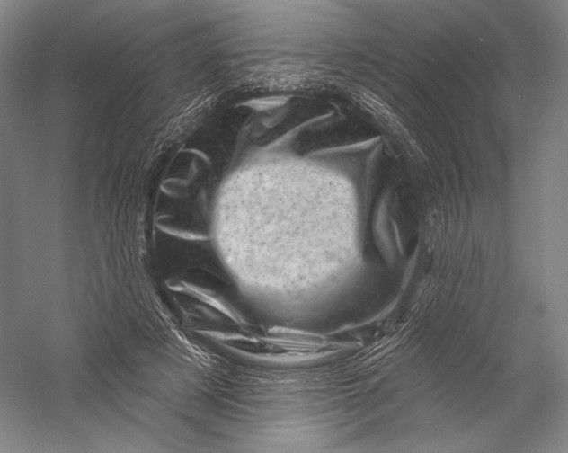 X0000055970497200509091448