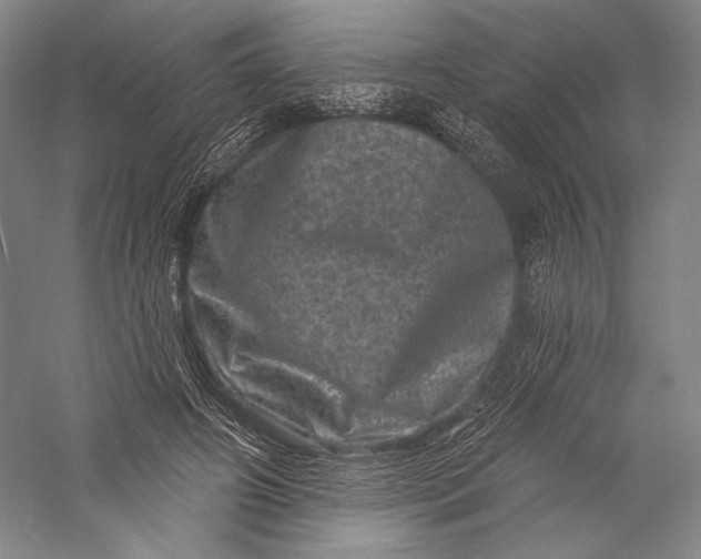 X0000055970498200509091448