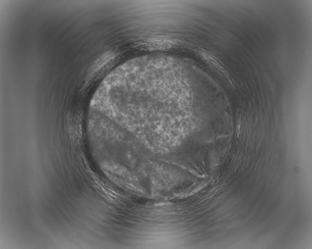 X0000055970501200509091448