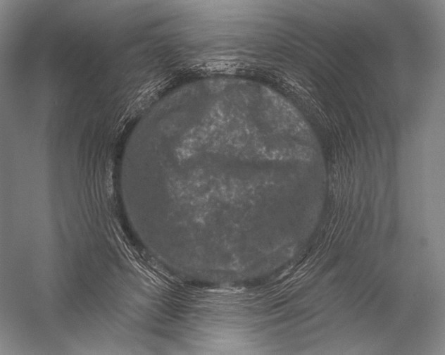 X0000055970504200509091447