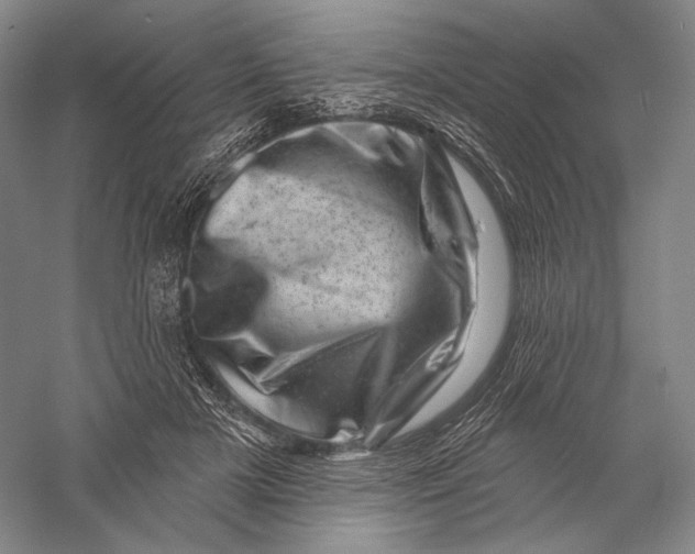 X0000055970505200509091447