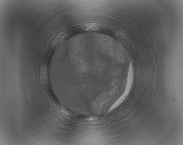 X0000055970506200509091447