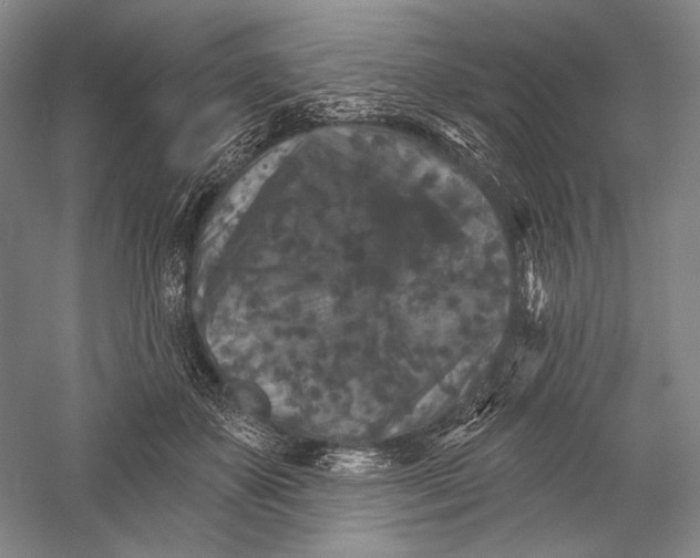 X0000055970507200509091447